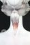 画像6: DOLLZONE/Feather Fox I-26-07-30-208-KD-ZI (6)