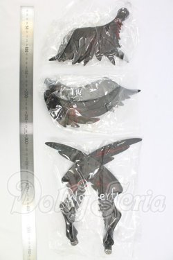 画像3: Fatemoons/Seraphim Wings I-26-07-30-209-KD-ZI