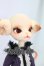 画像3: Dollzone/Miss Kitty I-26-07-30-213-KD-ZI (3)