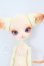 画像1: dollzone/minikitty I-26-07-30-214-KD-ZI (1)
