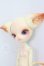 画像2: dollzone/minikitty I-26-07-30-214-KD-ZI (2)