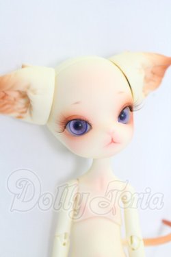 画像3: dollzone/minikitty I-26-07-30-214-KD-ZI