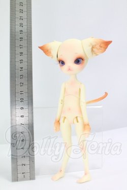 画像5: dollzone/minikitty I-26-07-30-214-KD-ZI