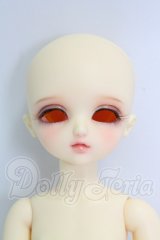 BAMBI　CRONY/[CB]　VIN I-26-07-30-272-KD-ZI