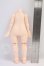 画像2: imomodoll/1/6ボディ/海外キャストドール I-26-08-06-085-KD-ZI (2)