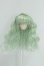 画像1: ウィッグ/3.5inch I-26-08-20-003-KD-ZI (1)