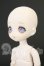 画像2: DOLLCE/ミニスウィーツドール：スノーシナモン I-26-08-13-243-KD-ZI (2)