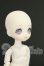 画像3: DOLLCE/ミニスウィーツドール：スノーシナモン I-26-08-13-243-KD-ZI (3)