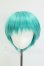 画像1: 8-9inch/ウィッグ I-26-08-06-231-KD-ZI (1)