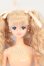 画像1: ジェニー/本体のみ I-26-08-13-037-KD-ZI (1)