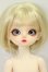 画像1: BonBonGalaxy/Dorothy I-26-08-06-409-KD-ZI (1)