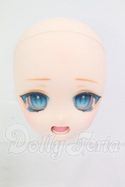 画像1: DD/DDH-27 (カスタマー様)カスタムヘッド I-26-08-13-106-KD-ZI