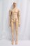 画像6: SartoriaJ/PHILIP I-26-08-13-407-KD-ZI (6)