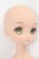 画像3: MDD/カスタムヘッド+ボディ I-26-08-13-438-KD-ZI (3)