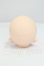画像4: imomodoll/1/6ヘッド I-26-08-20-053-KD-ZI (4)