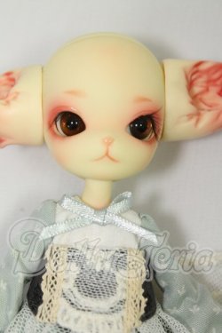 画像2: DOLLZONE/Mini Kitty I-26-08-13-403-KD-ZI