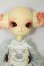 画像2: DOLLZONE/Mini Kitty I-26-08-13-403-KD-ZI (2)