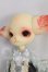 画像3: DOLLZONE/Mini Kitty I-26-08-13-403-KD-ZI (3)