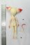 画像7: DOLLZONE/Mini Kitty I-26-08-13-403-KD-ZI (7)
