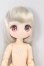 画像1: azone/ショコラーラ SugarCups Star Sprinkles アゾンDS限定販売ver. I-26-08-13-427-KD-ZI (1)