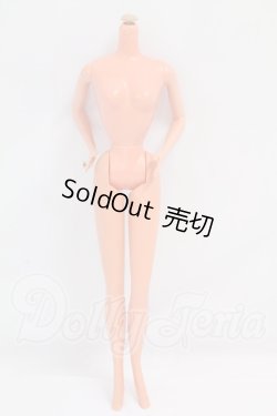 画像1: Barbie/ボディのみ I-26-08-27-145-KD-ZI