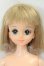 画像1: ジェニー/マリーン本体のみ I-26-08-27-107-KD-ZI (1)