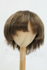 8-9inch/ウィッグ I-26-08-27-284-KD-ZI