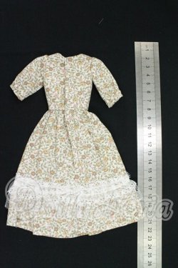 画像2: ジェニー/OF:衣装 I-26-08-27-188-KD-ZI