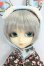 画像1: イスル/ホワイトラビットドゥジャルダン I-26-08-27-060-KD-ZI (1)