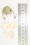 画像3: azone/1/12『アサルトリリィ外伝』 岸本・ルチア・来夢 I-26-08-27-173-KD-ZI (3)