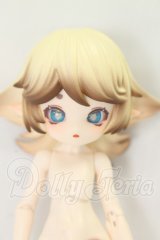 きのこ菌 サクライロタケ I-26-08-27-355-KD-ZI