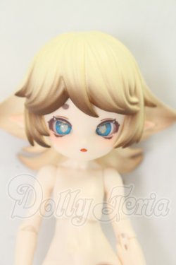画像1: きのこ菌 サクライロタケ I-26-08-27-355-KD-ZI