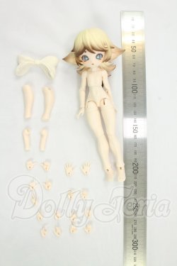 画像2: きのこ菌 サクライロタケ I-26-08-27-355-KD-ZI