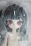 画像1: MICHOY「末日序章」1/12 スケール BJDブラインドドール シリーズ I-26-09-10-097-KD-ZI (1)