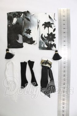 画像2: MICHOY「末日序章」1/12 スケール BJDブラインドドール シリーズ I-26-09-03-123-KD-ZI