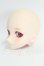 画像2: DD/ドリームチョイス DC-H-16ヘッド I-26-09-03-013-KD-ZI (2)
