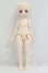 画像4: PUYOO DOLL/KUMAKO:KUMAKO Marching Band ver. Limited I-26-08-27-406-KD-ZI (4)