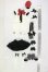 画像8: PUYOO DOLL/KUMAKO:KUMAKO Marching Band ver. Limited I-26-08-27-406-KD-ZI (8)