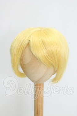 画像1: 8-9inch/ウィッグ I-26-09-03-285-KD-ZI