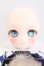 画像1: DDH-28/カスタムヘッド I-26-09-03-432-KD-ZI (1)
