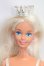 画像1: Barbie/本体+衣装 I-26-09-10-344-KD-ZI (1)
