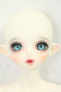 PEAK'S WOODS/FOB V.lady bee kitten blue limited I-26-09-10-418-KD-ZI