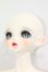 画像2: PEAK'S WOODS/FOB V.lady bee kitten blue limited I-26-09-10-418-KD-ZI (2)