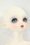 画像3: PEAK'S WOODS/FOB V.lady bee kitten blue limited I-26-09-10-418-KD-ZI (3)