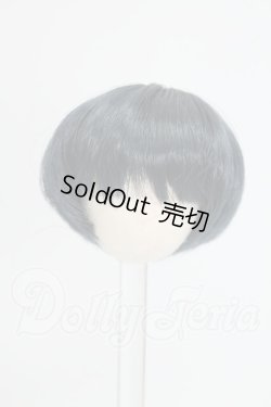 画像1: 3.5inch-4inch/ウィッグ I-26-09-10-251-KD-ZI