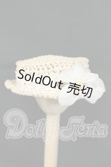 SDM＆MSD/OF:小物 I-26-09-10-330-KD-ZI