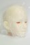 画像3: KANADOLL/No.8 Lucien ヘッド I-26-09-17-151-KD-ZI (3)