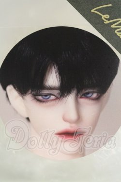 画像1: LeMoon/TOXY ヘッド I-26-09-17-152-KD-ZI