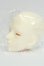 画像3: LeMoon/TOXY ヘッド I-26-09-17-152-KD-ZI (3)