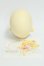 画像4: Zees Doll/Erato　ヘッド I-26-09-17-160-KD-ZI (4)